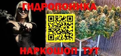 mix Будённовск
