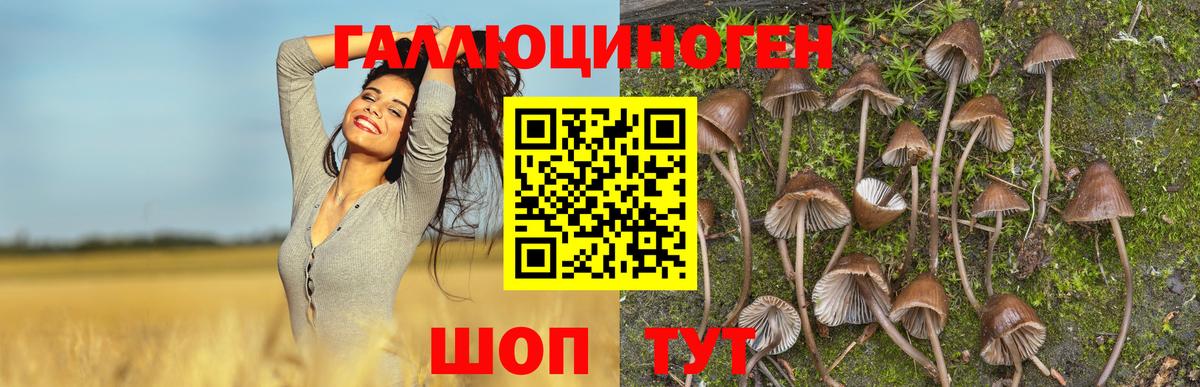 Кушва  Галлюциногенные грибы Magic Shrooms  Вход с VPN  Галлюциногенные грибы мицелий 