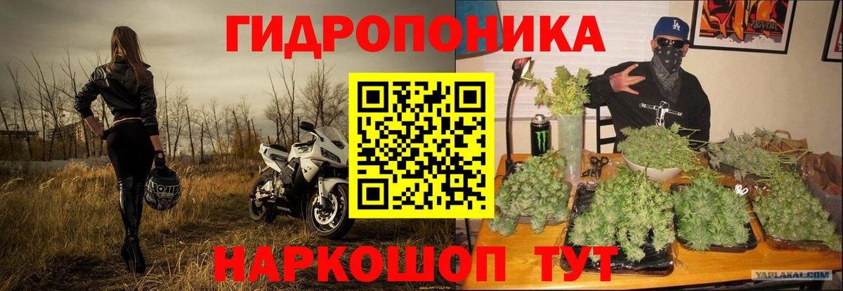 Каннабис планчик Кушва